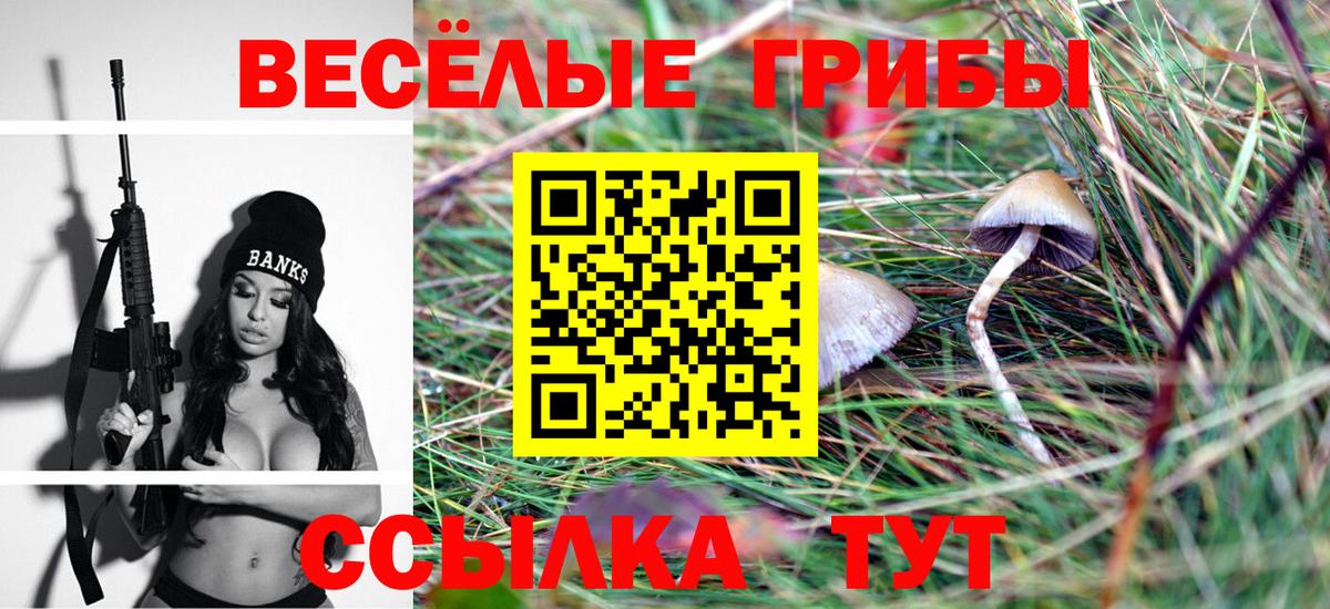 Жуковский  Псилоцибиновые грибы MAGIC MUSHROOMS  Вход с VPN  Псилоцибиновые грибы мухоморы 